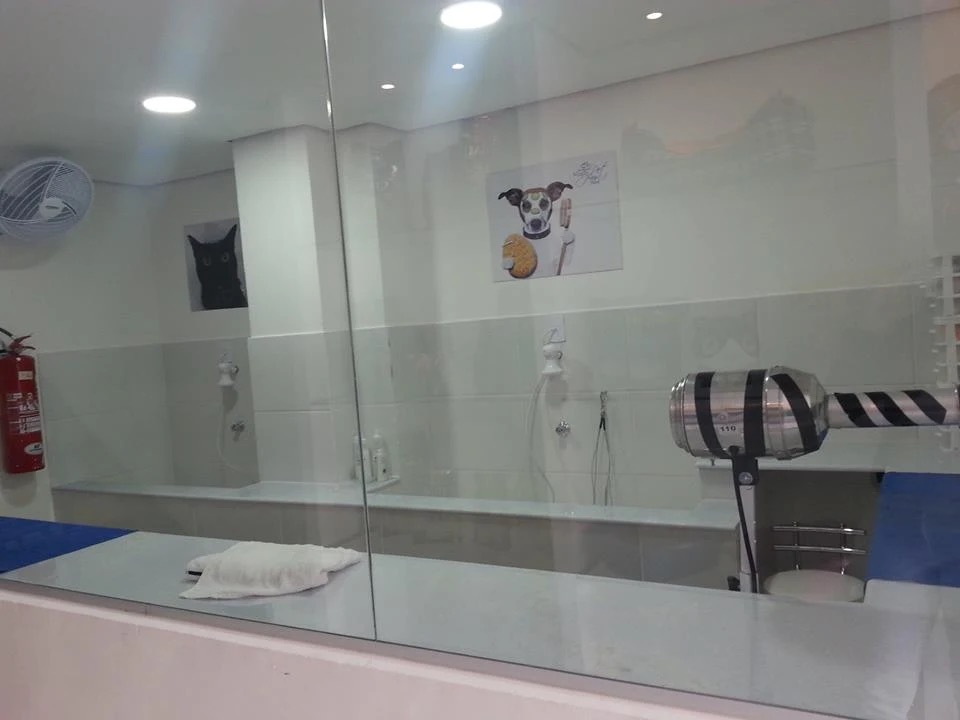 Sala de banho e tosa real da My Pet Boutique Animal